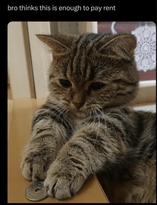 bro-thinks-this-is-enough-pay-rent