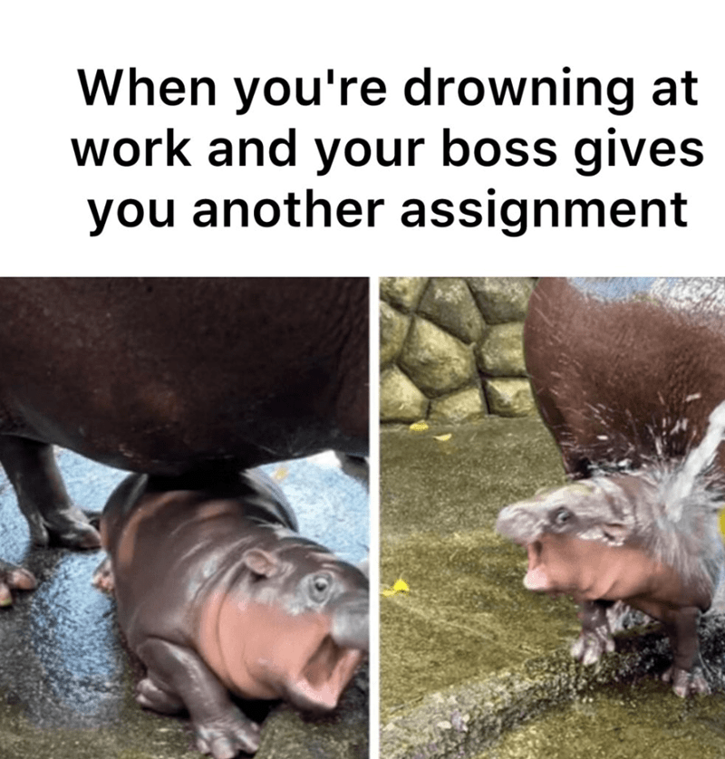 drowning-at-work-and-boss-gives-another-assignment