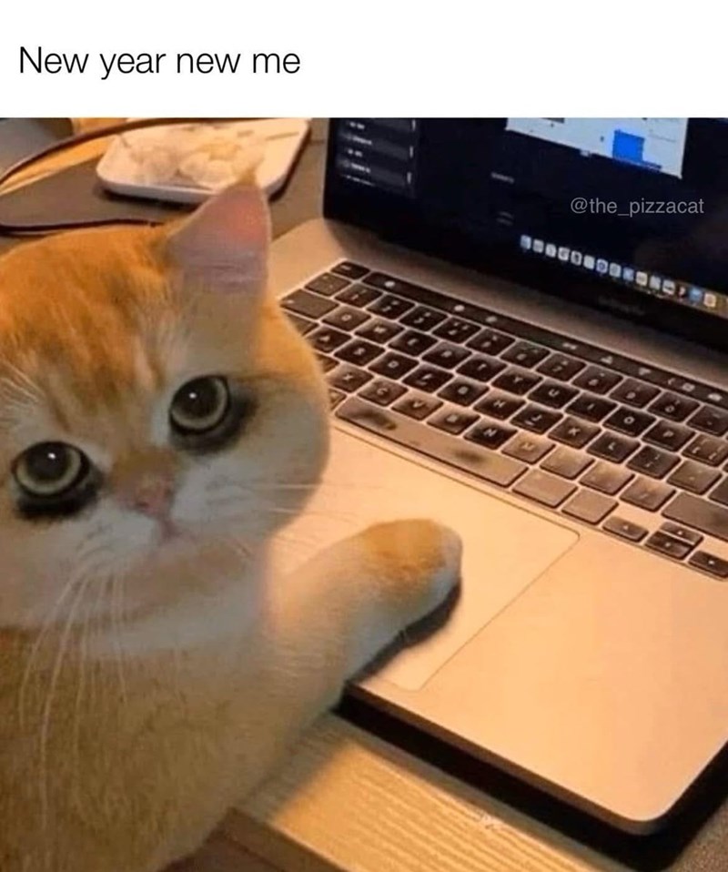 new-year-new-9-the_pizzacat-9-t-l-7-l