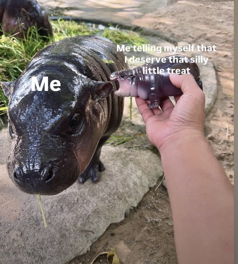 telling-myself-ideserve-silly-little-treat