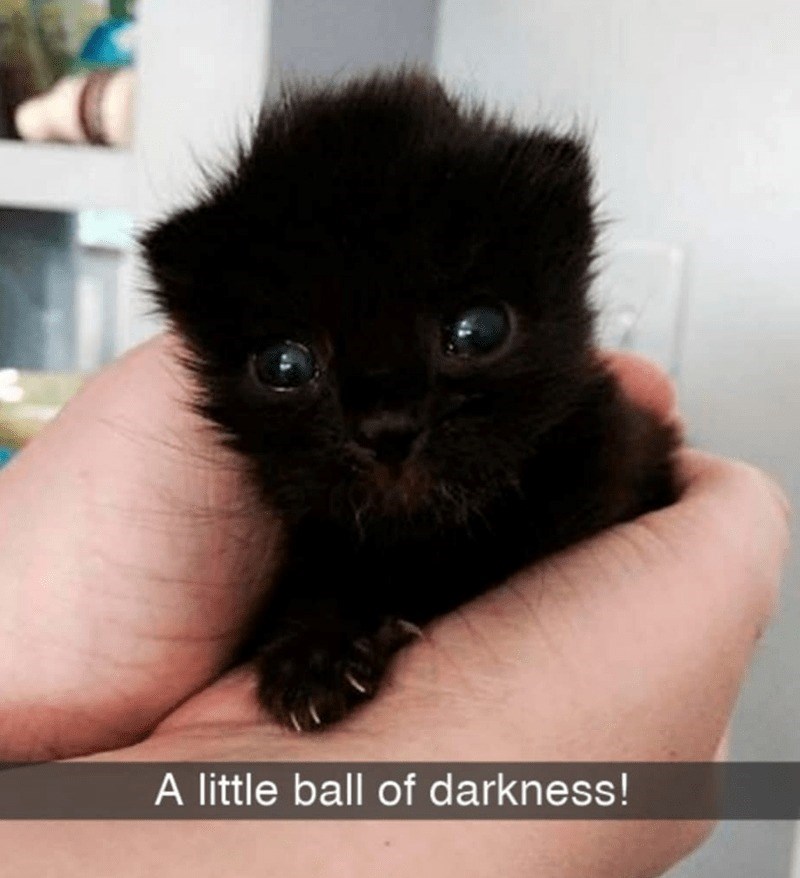 little-ball-darkness