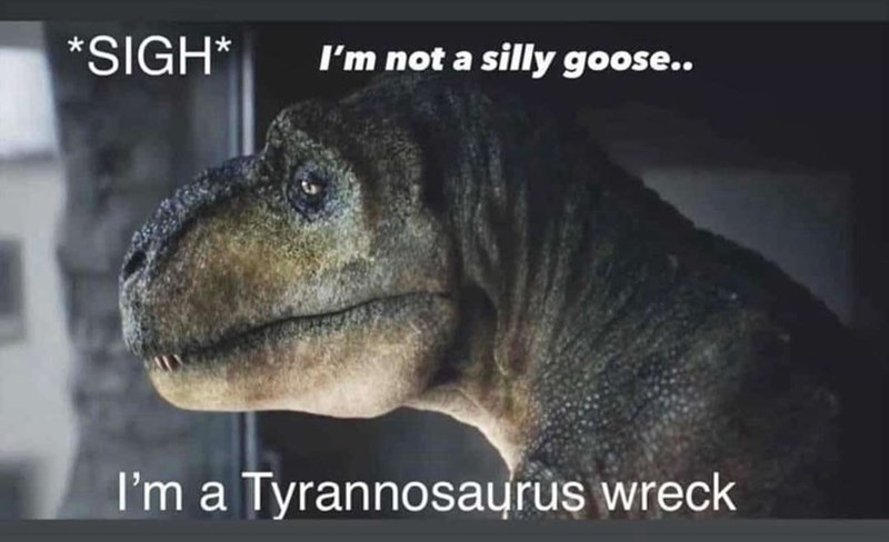sigh-not-silly-goose-tyrannosaurus-wreck