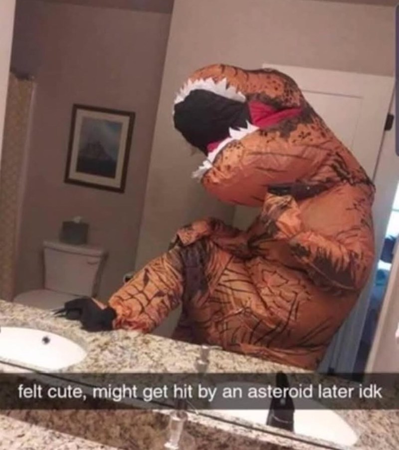 felt-cute-might-get-hit-by-an-asteroid-later-idk