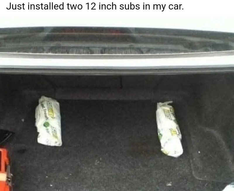 just-installed-two-12-inch-subs-my-car