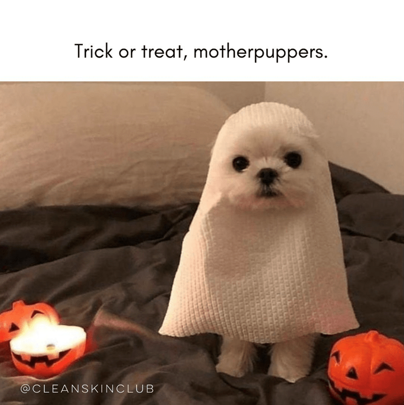 trick-or-treat-motherpuppers-cleanskinclub