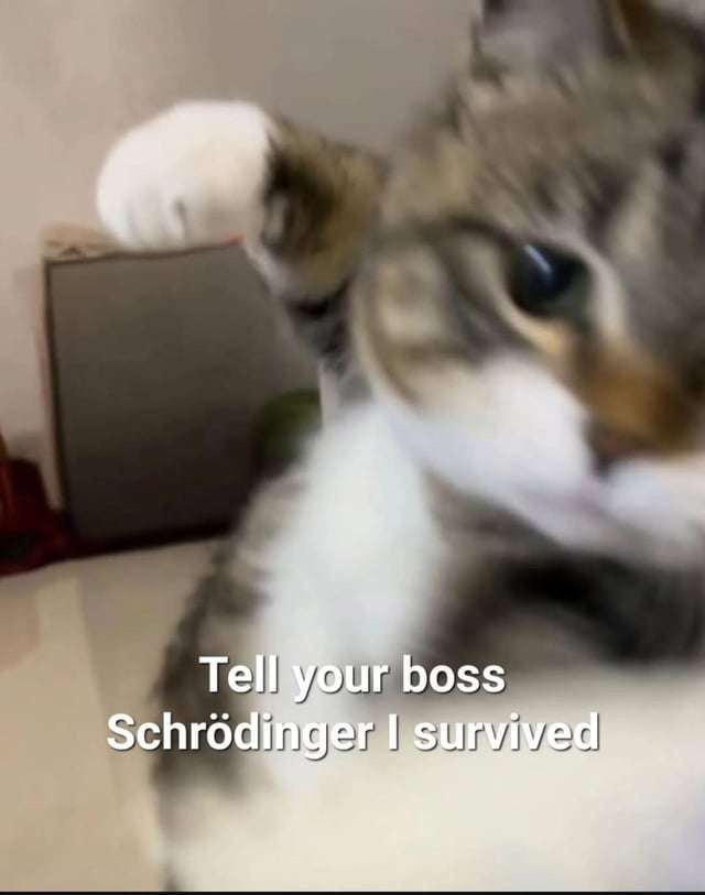 tell-boss-schr%C3%B6dinger-survived