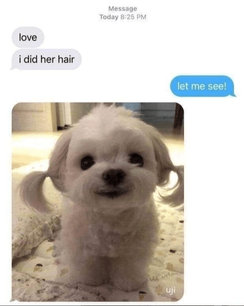 love-did-her-hair-message-today-825-pm-uji-let-see