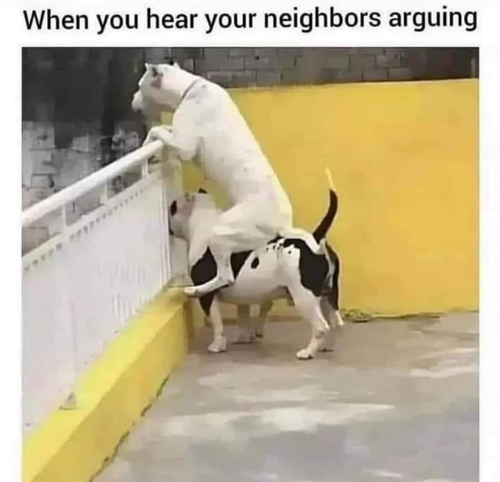 hear-neighbors-arguing
