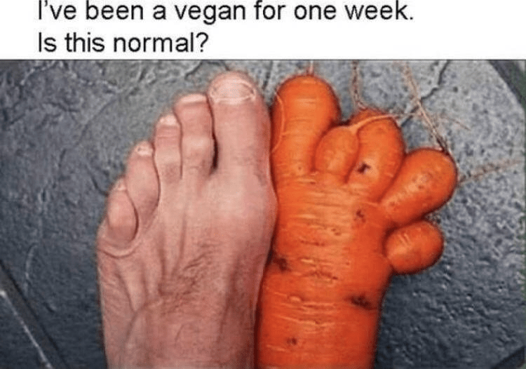 carrot-been-vegan-one-week-is-this-normal