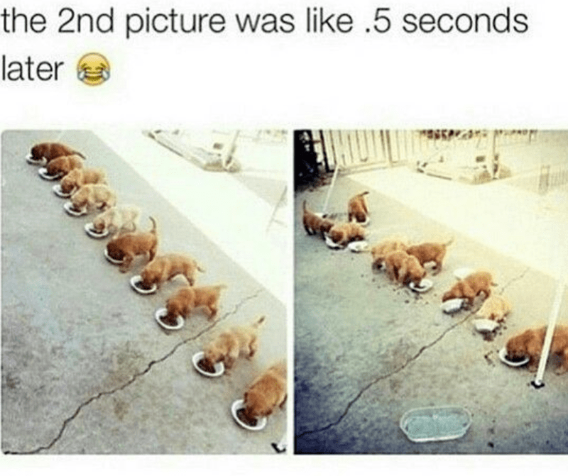 2nd-picture-like-5-seconds-later