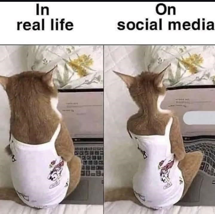 on-real-life-social-media
