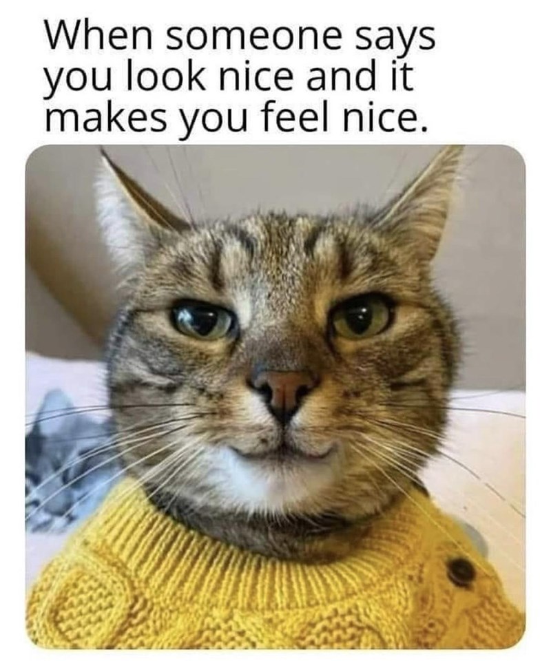 someone-says-look-nice-and-makes-feel-nice