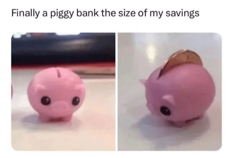 finally-piggy-bank-size-my-savings