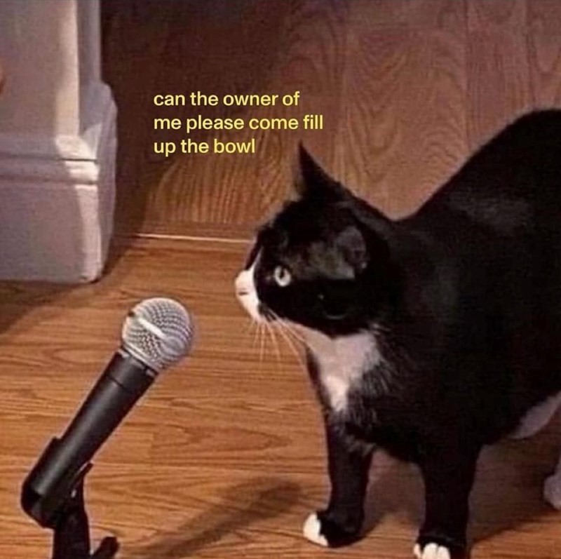 can-owner-please-come-fill-up-bowl