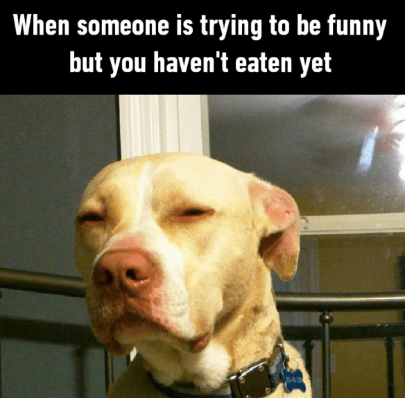 someone-is-trying-be-funny-but-havent-eaten-yet