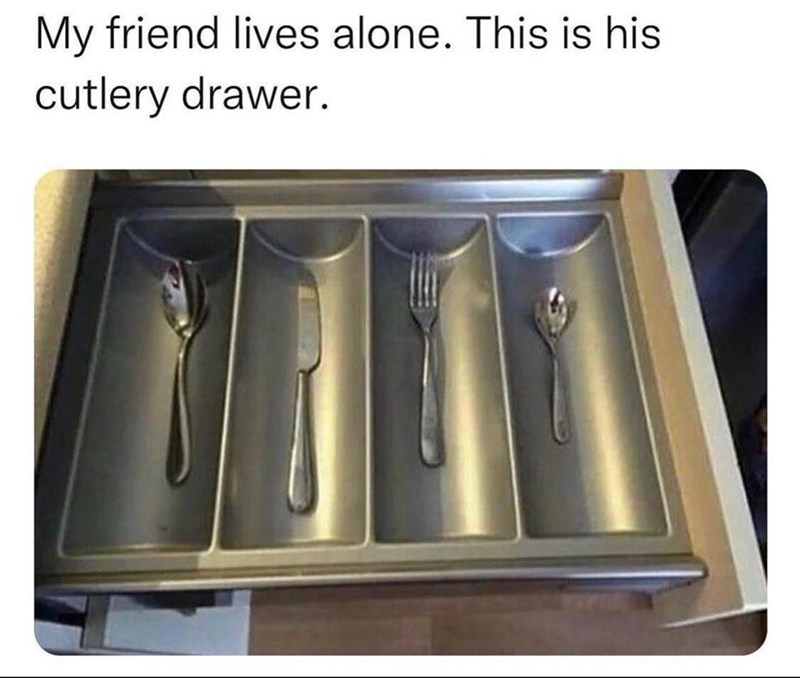 my-friend-lives-alone-this-is-his-cutlery-drawer