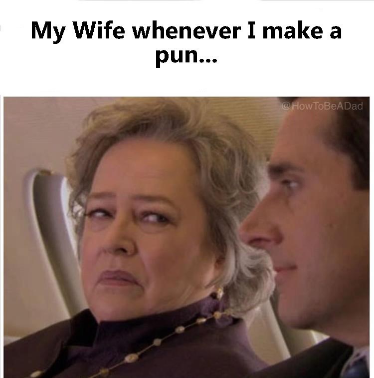 my-wife-whenever-make-pun-howtobeadad
