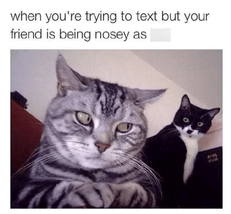 trying-text-but-friend-is-being-nosey-as-m
