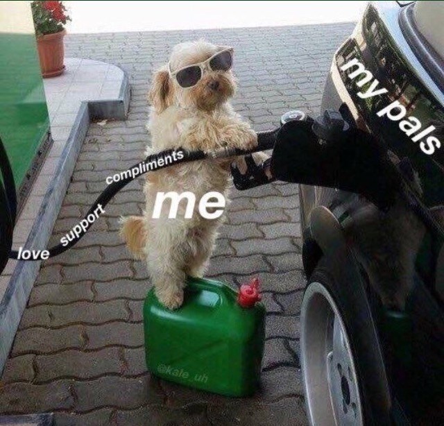 support-compliments-love-kale-uh-my-pals