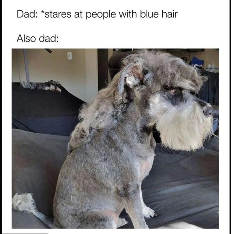 dad-stares-at-people-with-blue-hair-also-dad