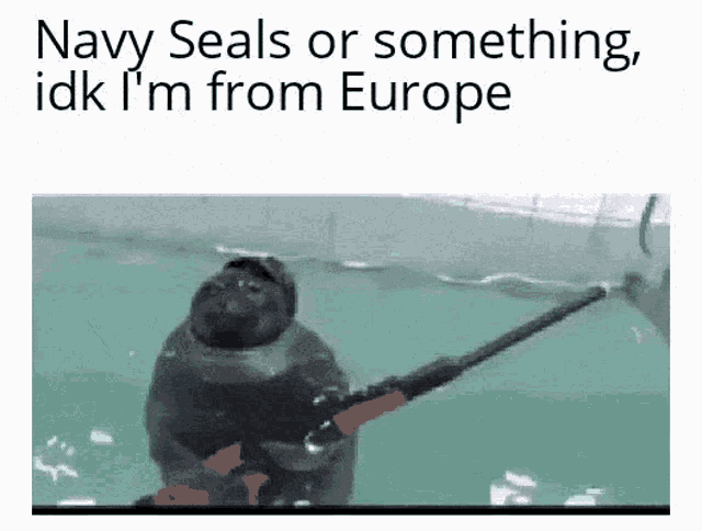 navy-seals-europe.gif