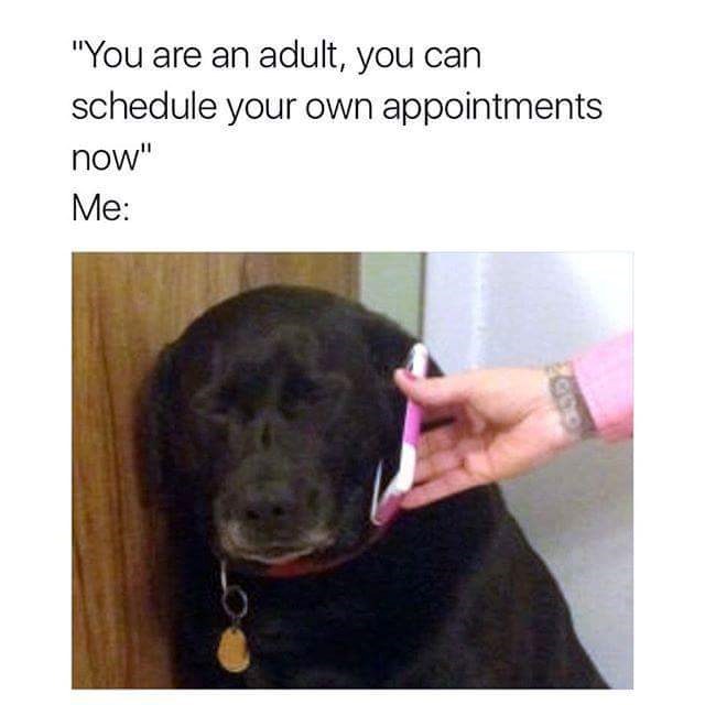 are-an-adult-can-schedule-own-appointments-now