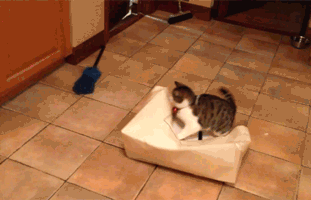 there-isnt-room-in-this-bag-for-the-two-of-us