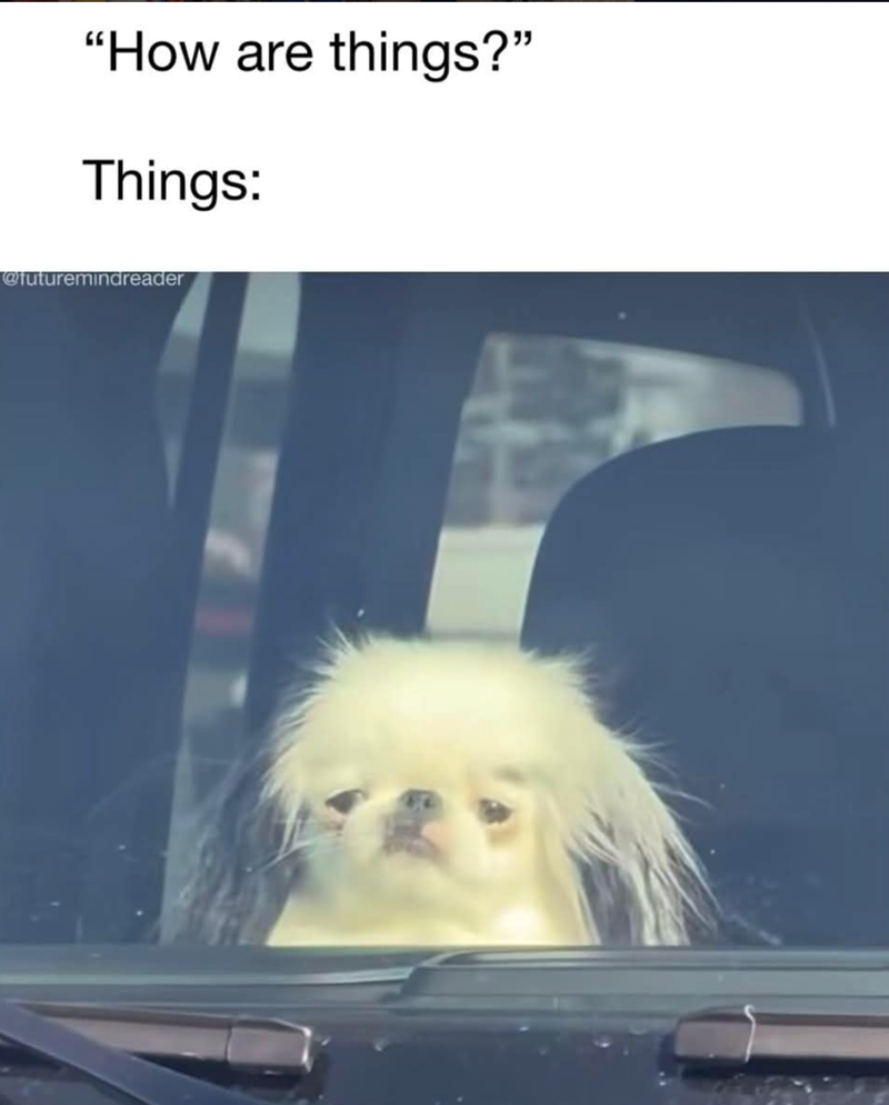 are-things-things-futuremindreader