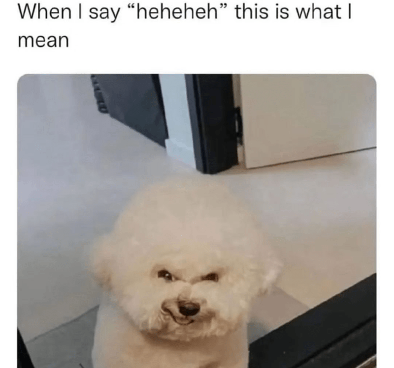 say-heheheh-this-is-mean