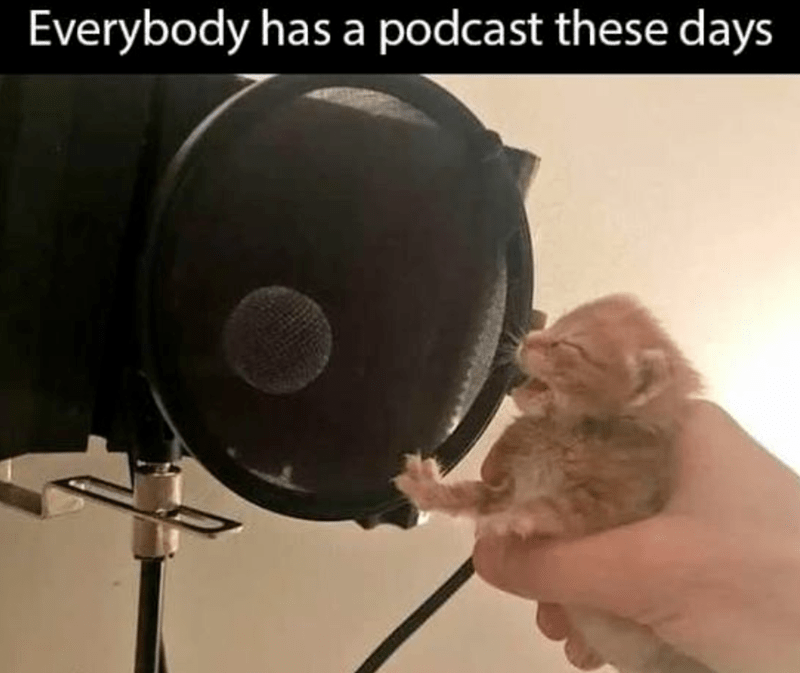 everybody-has-podcast-these-days