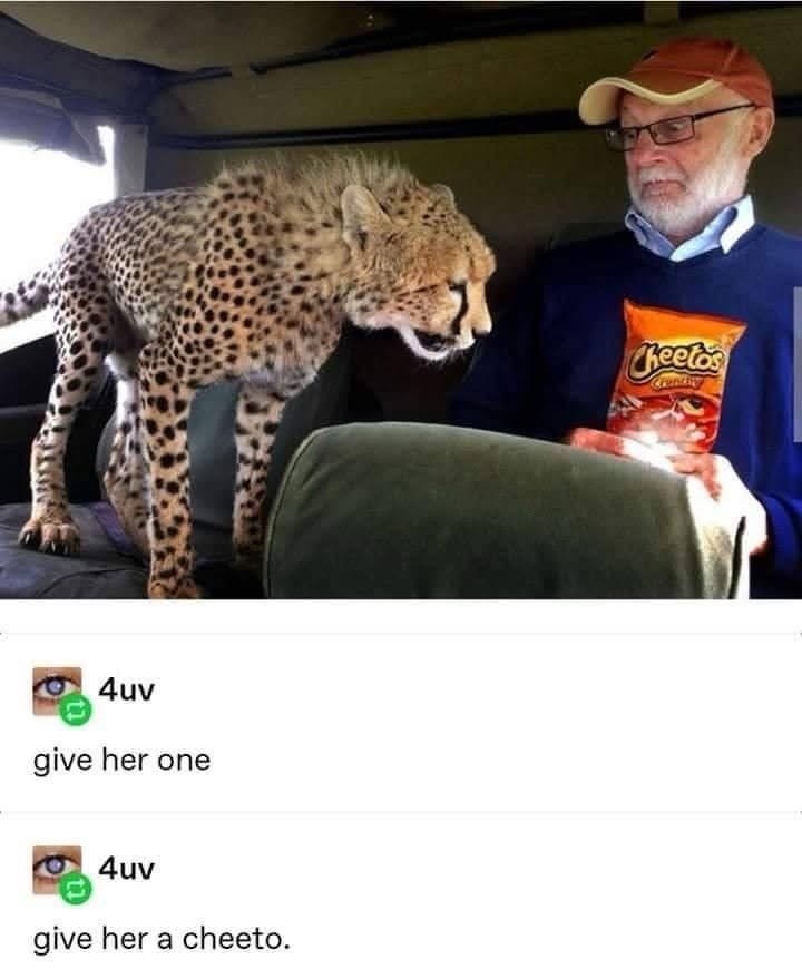 4uv-give-her-one-4uv-give-her-cheeto-cheetos