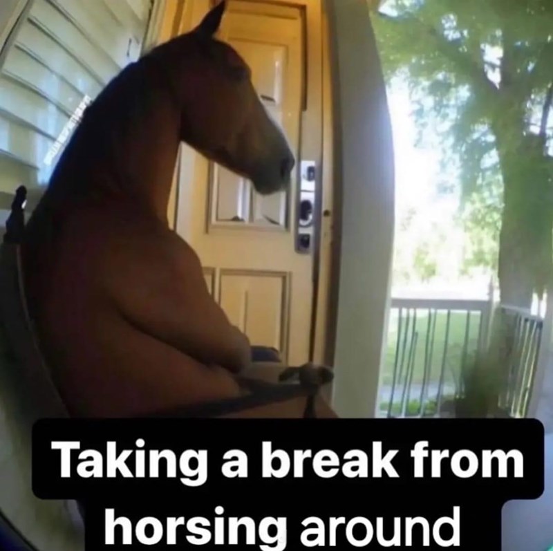 taking-break-horsing-around