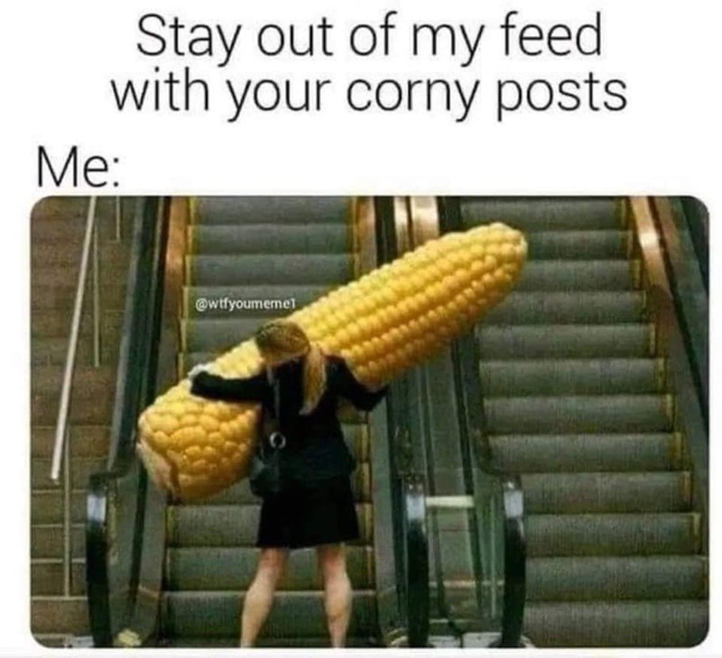 stay-out-my-feed-with-corny-posts-wtfyoumeme1