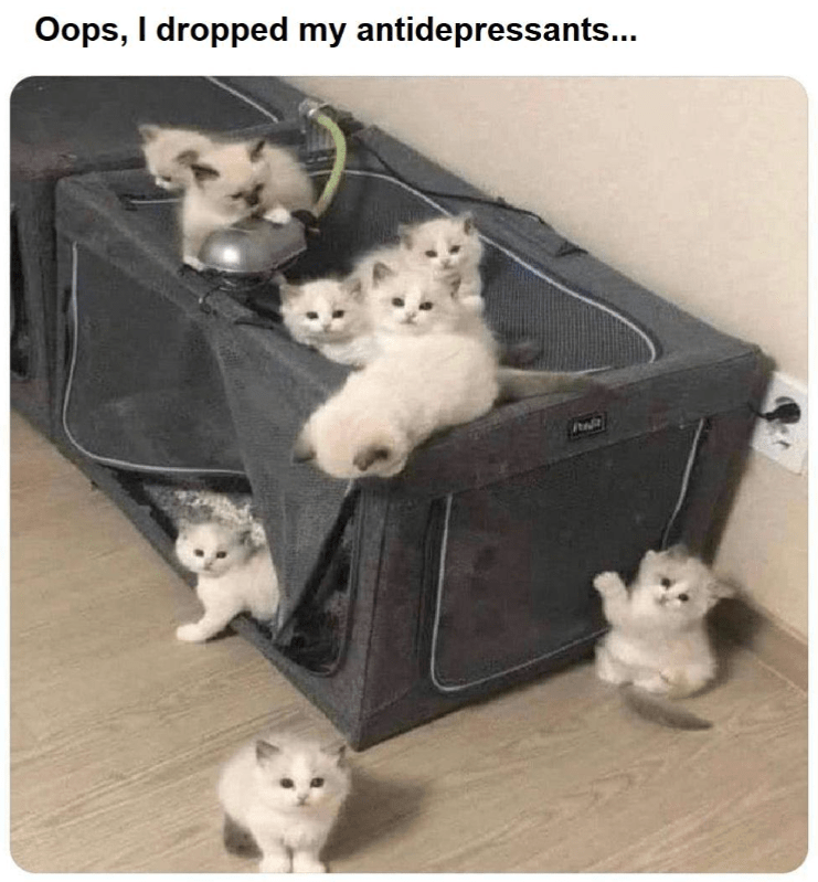 oops-dropped-my-antidepressants