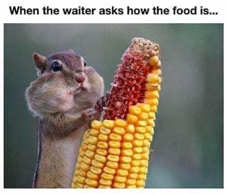 waiter-asks-food-is