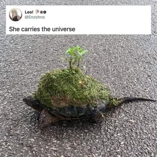 leo-enzohno-she-carries-universe