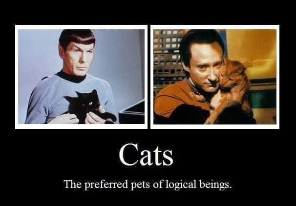 cats-preferred-pets-logical-beings