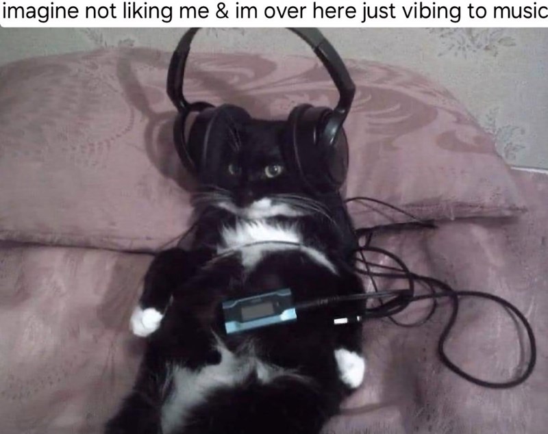 imagine-not-liking-im-over-here-just-vibing-music