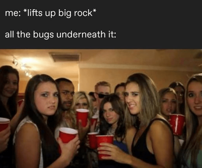 lifts-up-big-rock-all-bugs-underneath