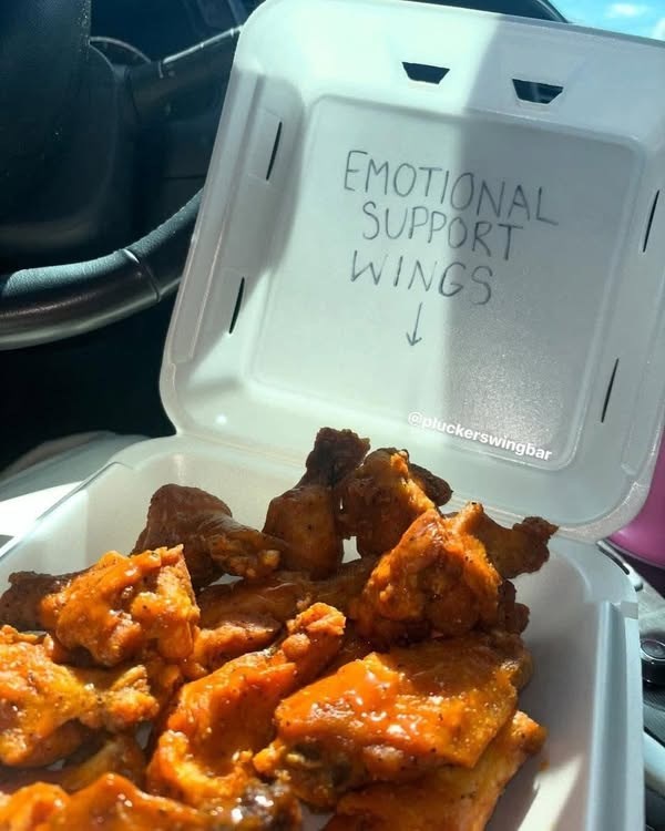 emotional-support-wings-pluckerswingbar