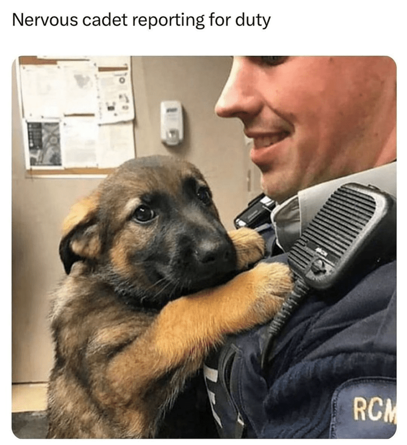 nervous-cadet-reporting-duty-rcm