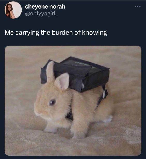 cheyene-norah-onlyyagirl-carrying-burden-knowing