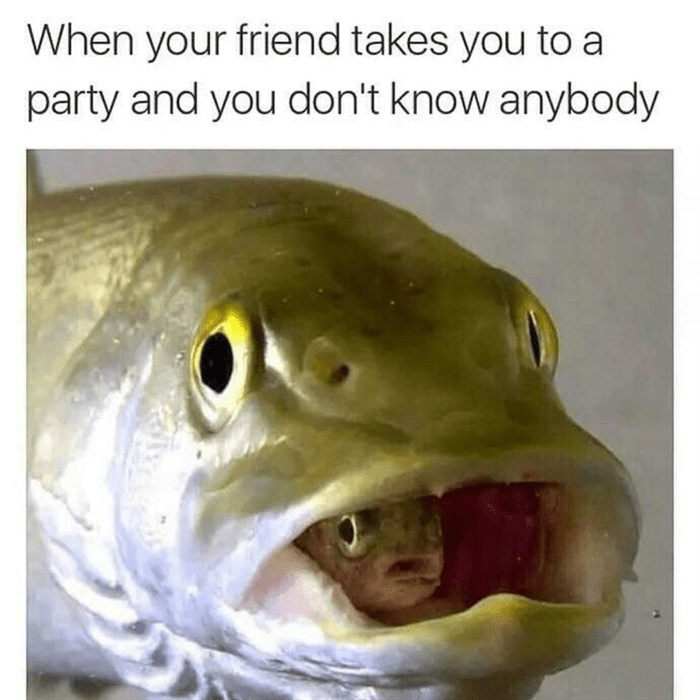 friend-takes-party-and-dont-know-anybody