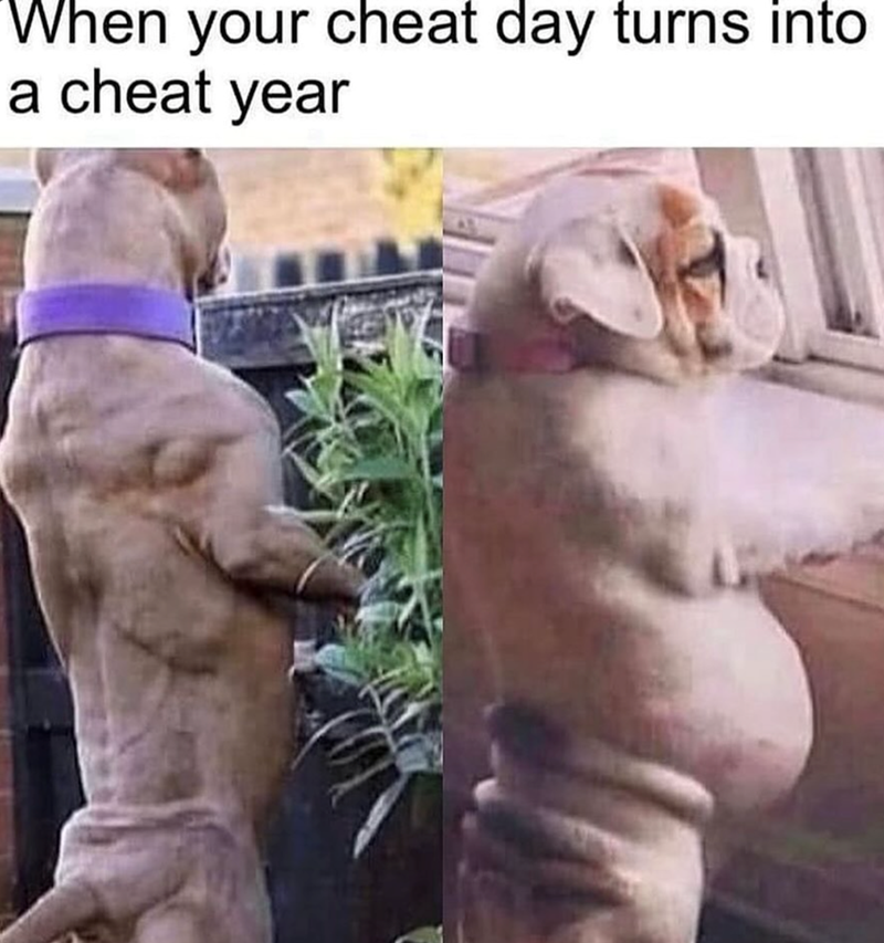 cheat-day-turns-into-cheat-year