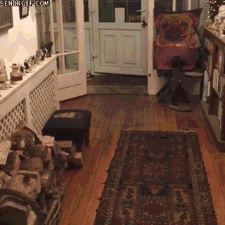 they-didnt-stand-a-chace