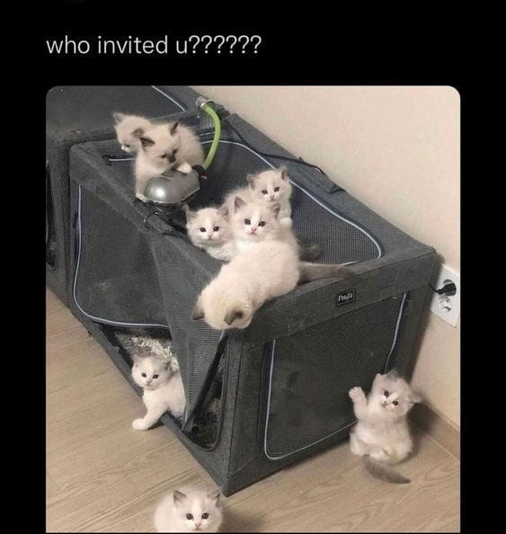 who-invited-u
