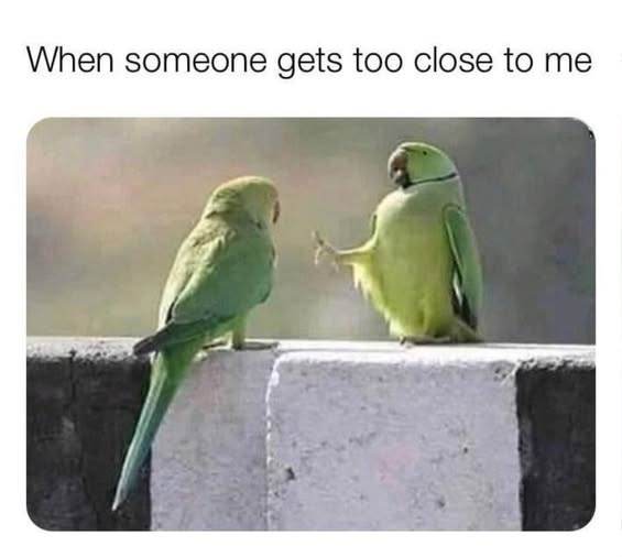 someone-gets-too-close