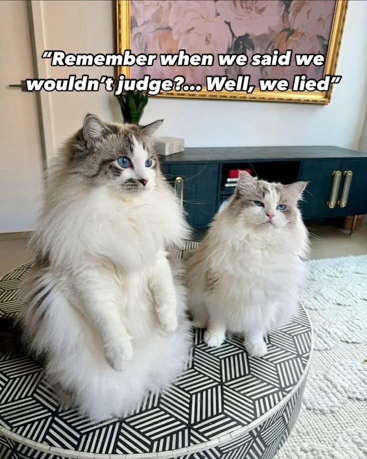 remember-said-wouldnt-judge-well-lied-11