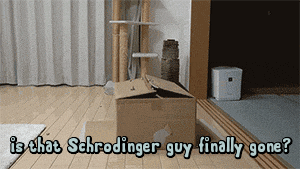 is-that-schr%C3%B6edinger-guy-finally-gone