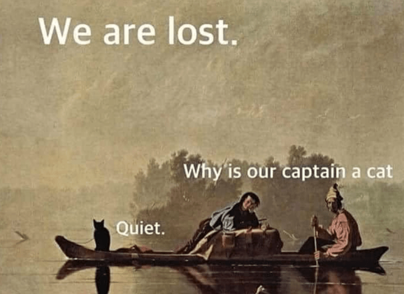 are-lost-quiet-why-is-our-captain-cat